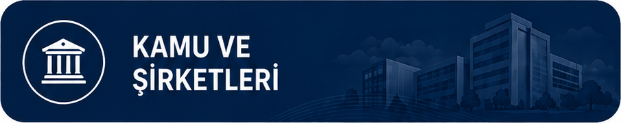Kamu ve Şirketleri